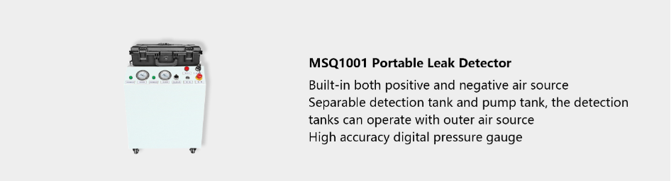 portable leak detector MSQ1001